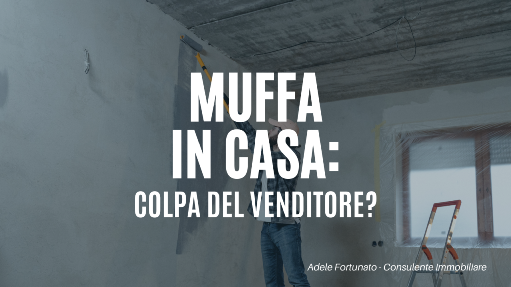 muffa in casa